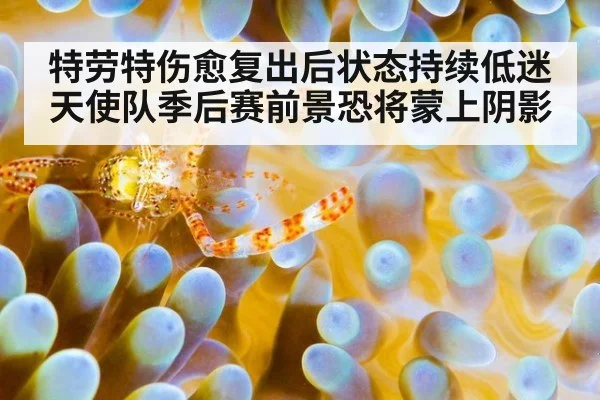 特劳特伤愈复出后状态持续低迷 天使队季后赛前景恐将蒙上阴影