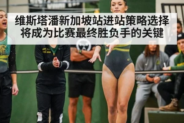 维斯塔潘新加坡站进站策略选择将成为比赛最终胜负手的关键